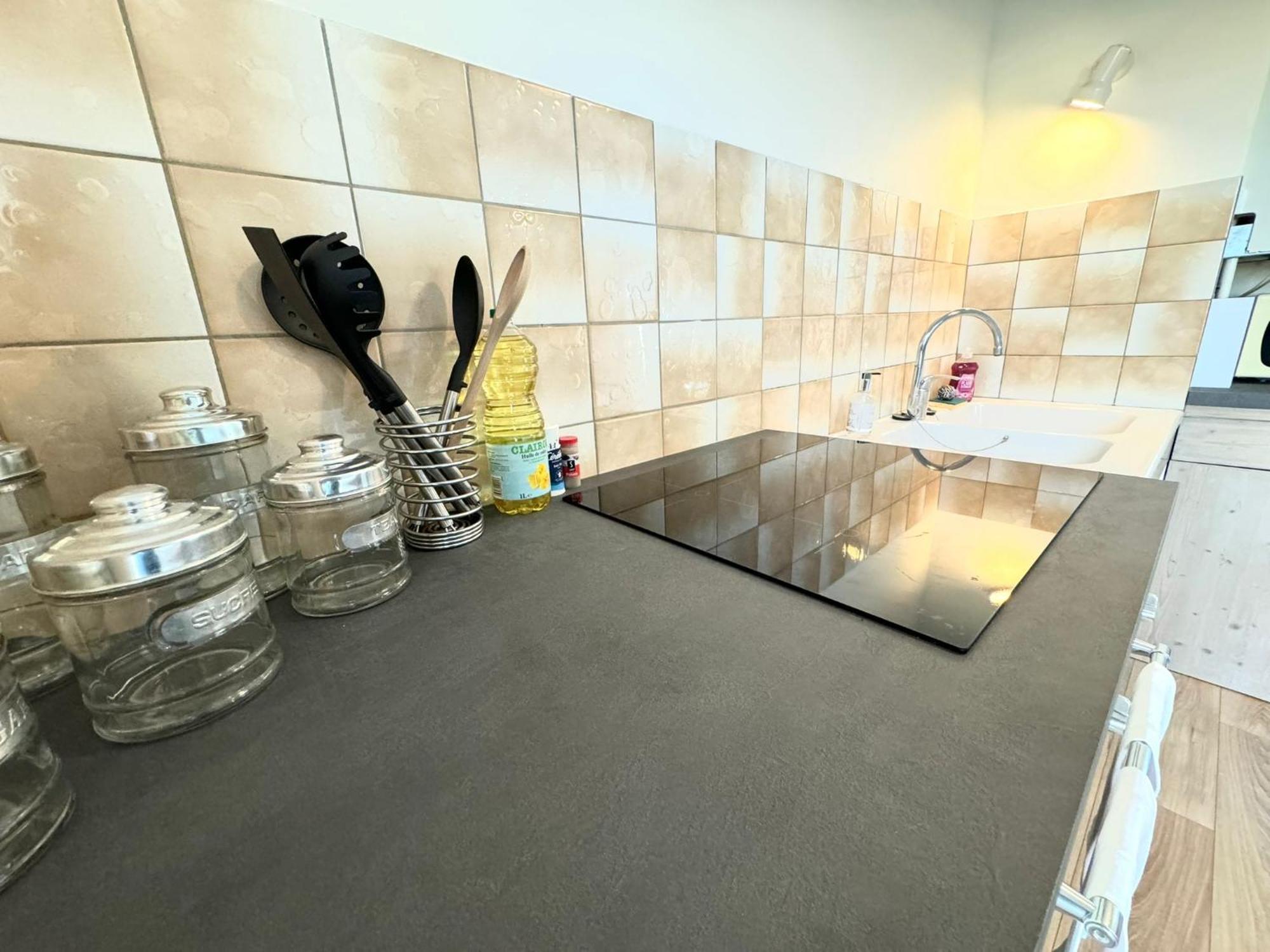 Appartement Quai Saone - By Primo C0Nciergerie تورنو المظهر الخارجي الصورة
